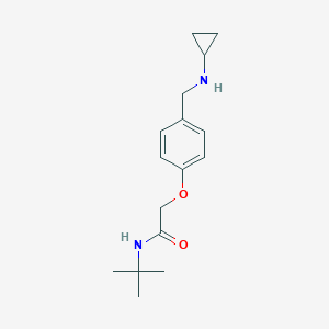 molecular formula C16H24N2O2 B503697 N-tert-butyl-2-{4-[(cyclopropylamino)methyl]phenoxy}acetamide 