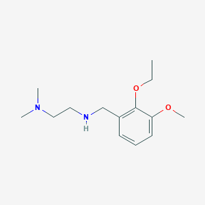 molecular formula C14H24N2O2 B503738 N'-(2-ethoxy-3-methoxybenzyl)-N,N-dimethylethane-1,2-diamine 