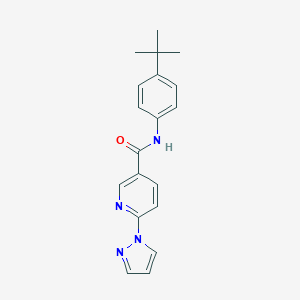 molecular formula C19H20N4O B504157 N-(4-tert-butylphenyl)-6-(1H-pyrazol-1-yl)nicotinamide 