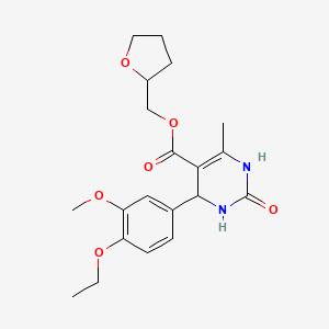 molecular formula C20H26N2O6 B5041753 Tetrahydrofuran-2-ylmethyl 4-(4-ethoxy-3-methoxyphenyl)-6-methyl-2-oxo-1,2,3,4-tetrahydropyrimidine-5-carboxylate 