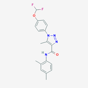 molecular formula C19H18F2N4O2 B504227 1-[4-(difluoromethoxy)phenyl]-N-(2,4-dimethylphenyl)-5-methyl-1H-1,2,3-triazole-4-carboxamide 