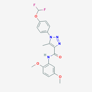 molecular formula C19H18F2N4O4 B504248 1-[4-(difluoromethoxy)phenyl]-N-(2,5-dimethoxyphenyl)-5-methyl-1H-1,2,3-triazole-4-carboxamide 