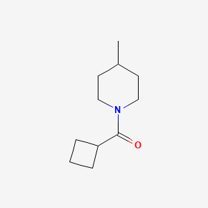 Cyclobutyl(4-methylpiperidin-1-yl)methanone