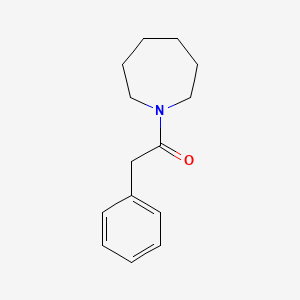 molecular formula C14H19NO B5044694 Hexahydro-1-(phenylacetyl)-1h-azepine 