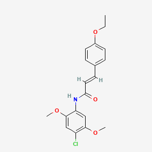 molecular formula C19H20ClNO4 B5045170 N-(4-chloro-2,5-dimethoxyphenyl)-3-(4-ethoxyphenyl)acrylamide 