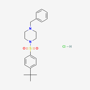 molecular formula C21H29ClN2O2S B5045800 1-benzyl-4-[(4-tert-butylphenyl)sulfonyl]piperazine hydrochloride 