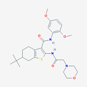6-tert-butyl-N-(2,5-dimethoxyphenyl)-2-[(4-morpholinylacetyl)amino]-4,5,6,7-tetrahydro-1-benzothiophene-3-carboxamide