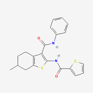 6-methyl-N-phenyl-2-[(2-thienylcarbonyl)amino]-4,5,6,7-tetrahydro-1-benzothiophene-3-carboxamide