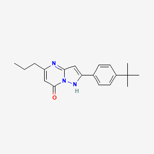 molecular formula C19H23N3O B5054142 2-(4-tert-butylphenyl)-5-propylpyrazolo[1,5-a]pyrimidin-7(4H)-one 