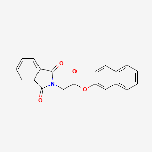 molecular formula C20H13NO4 B5057148 2-naphthyl (1,3-dioxo-1,3-dihydro-2H-isoindol-2-yl)acetate 