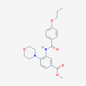 molecular formula C22H26N2O5 B505786 Methyl 4-(4-morpholinyl)-3-[(4-propoxybenzoyl)amino]benzoate 