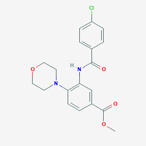 molecular formula C19H19ClN2O4 B505792 Methyl 3-[(4-chlorobenzoyl)amino]-4-morpholin-4-ylbenzoate CAS No. 895092-87-2