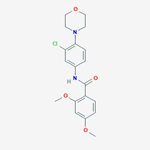 molecular formula C19H21ClN2O4 B505805 N-[3-chloro-4-(4-morpholinyl)phenyl]-2,4-dimethoxybenzamide 