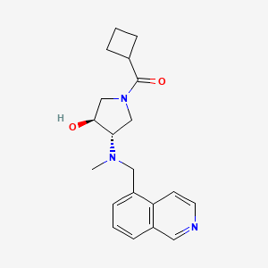 molecular formula C20H25N3O2 B5058883 (3S*,4S*)-1-(cyclobutylcarbonyl)-4-[(5-isoquinolinylmethyl)(methyl)amino]-3-pyrrolidinol 