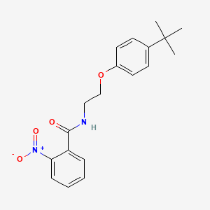 molecular formula C19H22N2O4 B5058956 N-[2-(4-tert-butylphenoxy)ethyl]-2-nitrobenzamide 
