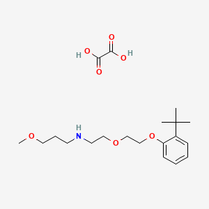 molecular formula C20H33NO7 B5061622 N-{2-[2-(2-tert-butylphenoxy)ethoxy]ethyl}-3-methoxy-1-propanamine oxalate 