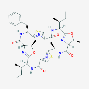 molecular formula C38H48N8O6S2 B050624 帕特拉酰胺 D CAS No. 120853-15-8