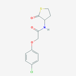 molecular formula C12H12ClNO3S B506285 2-(4-chlorophenoxy)-N-(2-oxothiolan-3-yl)acetamide 