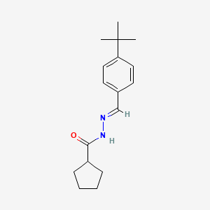 molecular formula C17H24N2O B5063136 N'-(4-tert-butylbenzylidene)cyclopentanecarbohydrazide 