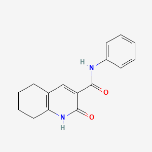 molecular formula C16H16N2O2 B5063658 2-oxo-N-phenyl-1,2,5,6,7,8-hexahydro-3-quinolinecarboxamide 