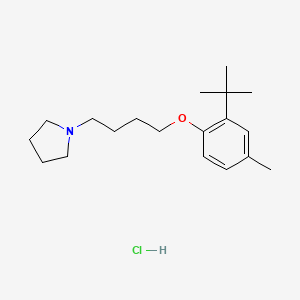 molecular formula C19H32ClNO B5067359 1-[4-(2-tert-butyl-4-methylphenoxy)butyl]pyrrolidine hydrochloride 