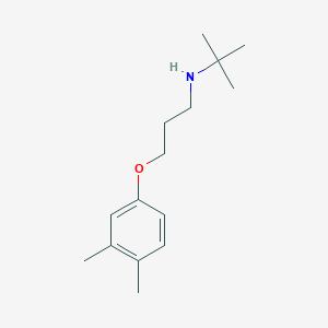molecular formula C15H25NO B5069970 N-(tert-butyl)-3-(3,4-dimethylphenoxy)-1-propanamine 