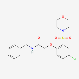 molecular formula C19H21ClN2O5S B5070052 N-benzyl-2-[4-chloro-2-(4-morpholinylsulfonyl)phenoxy]acetamide 