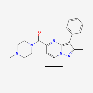 molecular formula C23H29N5O B5073075 [7-(Tert-butyl)-2-methyl-3-phenylpyrazolo[1,5-a]pyrimidin-5-yl](4-methylpiperazino)methanone 