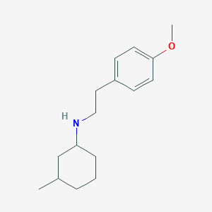 molecular formula C16H25NO B5073556 N-[2-(4-methoxyphenyl)ethyl]-3-methylcyclohexan-1-amine 