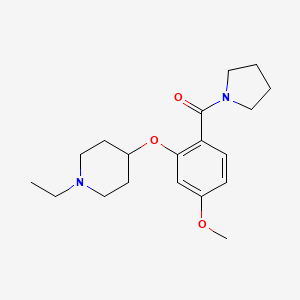 1-ethyl-4-[5-methoxy-2-(1-pyrrolidinylcarbonyl)phenoxy]piperidine