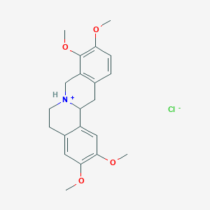 B050755 Tetrahydropalmatine hydrochloride CAS No. 6024-85-7