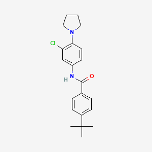 molecular formula C21H25ClN2O B5077813 4-tert-butyl-N-[3-chloro-4-(1-pyrrolidinyl)phenyl]benzamide 