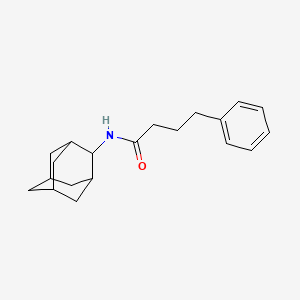 N-2-adamantyl-4-phenylbutanamide