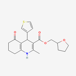 molecular formula C20H23NO4S B5085330 tetrahydro-2-furanylmethyl 2-methyl-5-oxo-4-(3-thienyl)-1,4,5,6,7,8-hexahydro-3-quinolinecarboxylate 