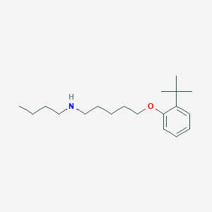 molecular formula C19H33NO B5085621 N-butyl-5-(2-tert-butylphenoxy)-1-pentanamine 