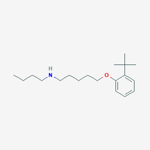 N-butyl-5-(2-tert-butylphenoxy)pentan-1-amine