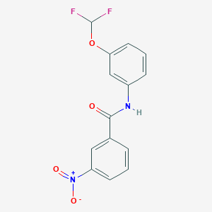 molecular formula C14H10F2N2O4 B5086387 N-[3-(difluoromethoxy)phenyl]-3-nitrobenzamide 