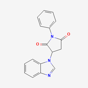 molecular formula C17H13N3O2 B5086723 3-(1H-benzimidazol-1-yl)-1-phenyl-2,5-pyrrolidinedione 