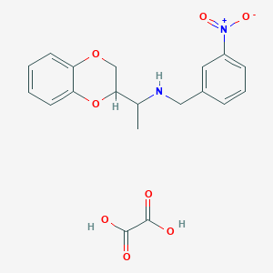 [1-(2,3-dihydro-1,4-benzodioxin-2-yl)ethyl](3-nitrobenzyl)amine oxalate