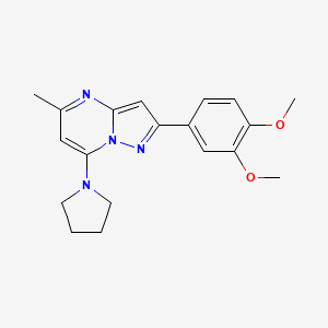 molecular formula C19H22N4O2 B5089388 2-(3,4-dimethoxyphenyl)-5-methyl-7-(1-pyrrolidinyl)pyrazolo[1,5-a]pyrimidine 