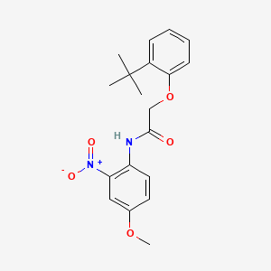 molecular formula C19H22N2O5 B5090443 2-(2-tert-butylphenoxy)-N-(4-methoxy-2-nitrophenyl)acetamide 