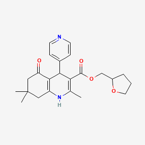 molecular formula C23H28N2O4 B5090870 tetrahydro-2-furanylmethyl 2,7,7-trimethyl-5-oxo-4-(4-pyridinyl)-1,4,5,6,7,8-hexahydro-3-quinolinecarboxylate 