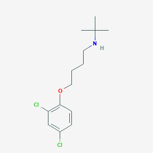 molecular formula C14H21Cl2NO B5094079 N-(tert-butyl)-4-(2,4-dichlorophenoxy)-1-butanamine 