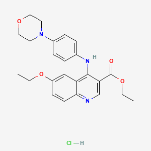 molecular formula C24H28ClN3O4 B5094153 Ethyl 6-ethoxy-4-(4-morpholin-4-ylanilino)quinoline-3-carboxylate;hydrochloride 