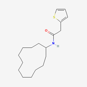 N-cyclododecyl-2-(2-thienyl)acetamide