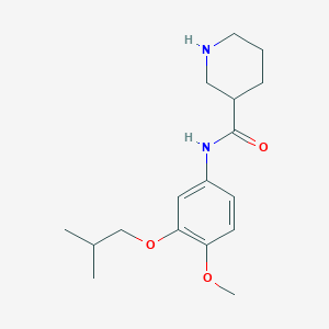 N-(3-isobutoxy-4-methoxyphenyl)-3-piperidinecarboxamide