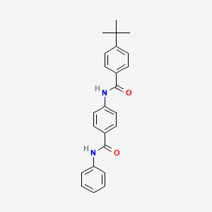 molecular formula C24H24N2O2 B5099213 N-[4-(anilinocarbonyl)phenyl]-4-tert-butylbenzamide 