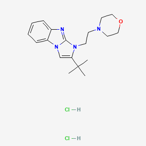molecular formula C19H28Cl2N4O B5100389 2-tert-butyl-1-[2-(4-morpholinyl)ethyl]-1H-imidazo[1,2-a]benzimidazole dihydrochloride 