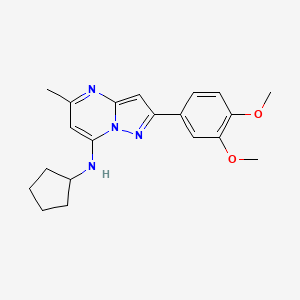 molecular formula C20H24N4O2 B5100959 N-cyclopentyl-2-(3,4-dimethoxyphenyl)-5-methylpyrazolo[1,5-a]pyrimidin-7-amine 