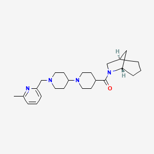 molecular formula C25H38N4O B5104007 4-[(1R*,5S*)-6-azabicyclo[3.2.1]oct-6-ylcarbonyl]-1'-[(6-methyl-2-pyridinyl)methyl]-1,4'-bipiperidine 